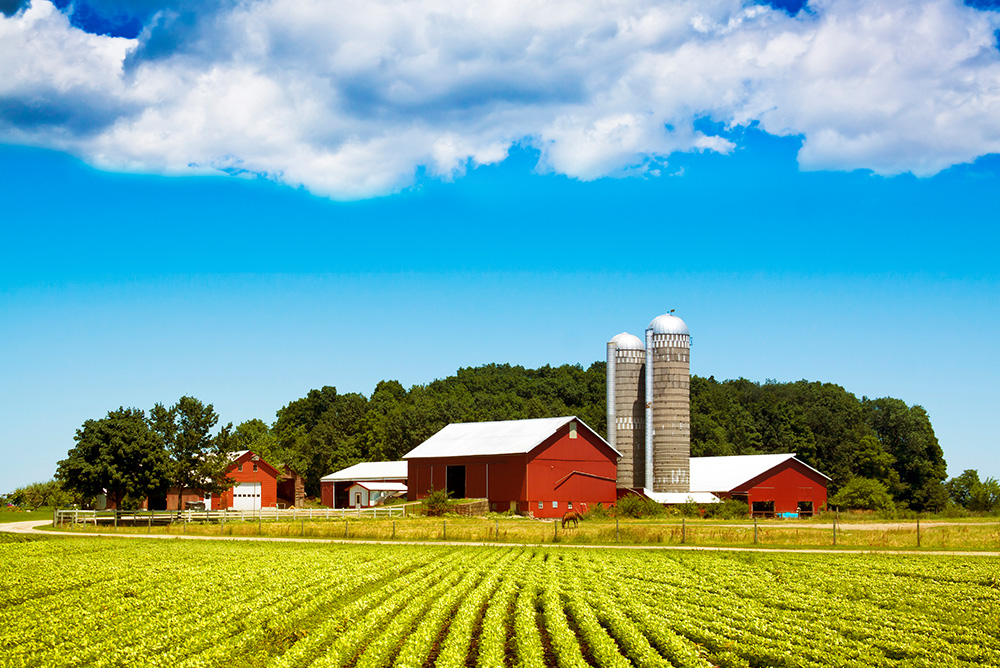 Agricultural Real Estate Loans