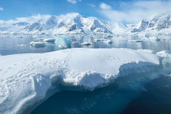 Antarctica: The White Continent Connect Club Trip 2028