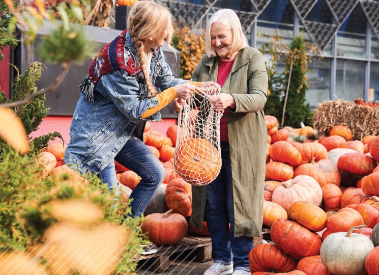 People picking pumpkins at outdoor patch during fall season