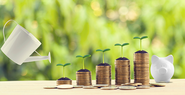Stacks of coins growing taller with seedlings and a watering can, showing what compound interest is